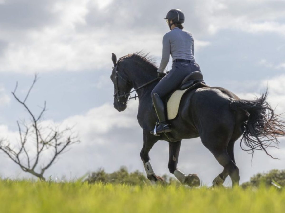 Riding for a Cause! The FHANA Ride and Drive&nbsp;Event