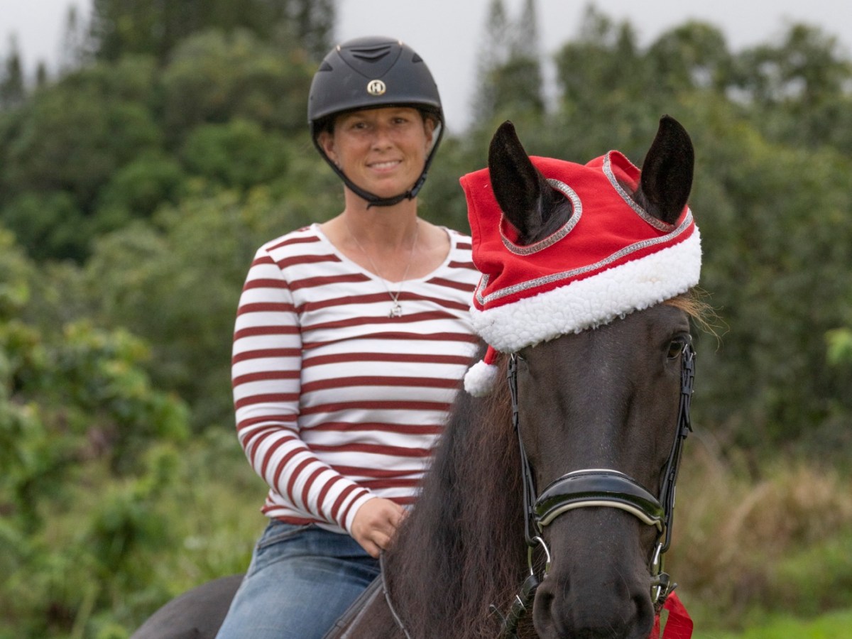 Winter days. Fun things to do with your horse when it’s not ideal riding&nbsp;weather