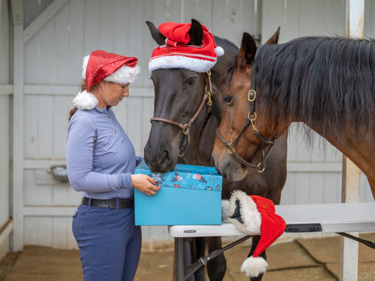 “TRT Method”Advent Calendar&nbsp;Box